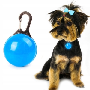 LAMPKA LED ŚWIECĄCA na obrożę dla PSA ZAWIESZKA