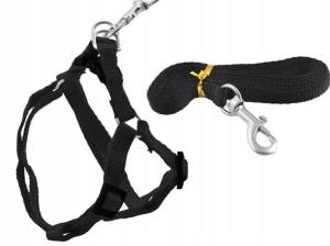 Szelki dla Psa Kota Królika Yorka SZCZENIAKA Smycz