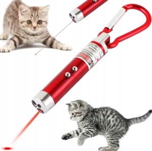 LASER WSKAŹNIK LASEROWY LATARKA ZABAWKA KOTA 2W1