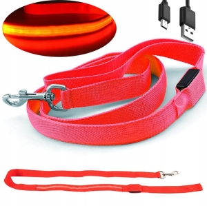 Smycz dla PSA usb LED 25mm kolorowa ŚWIECĄCA spacer zima jesień noc 1,2 m