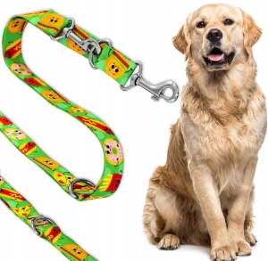 SMYCZ REGULOWANA dla Psa DŁUGA PRZEPINANA TRENINGOWA WE WZORY MOCNA PIES 5m
