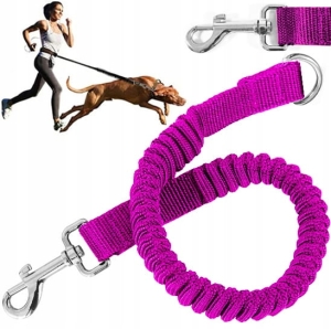 MOCNY AMORTYZATOR DO SMYCZY TRESURY DLA SZARPIĄCEGO PSA ELASTYCZNA SMYCZ