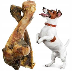 KOŚĆ dla PSA SZYNKOWA WIEPRZOWA SUSZONA GRYZAK SMAKOŁYK 1 szt. ok. 20cm