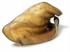 UCHO WOŁOWE BALTONATURALNE GRYZAK DLA PSA PRZYSMAK NATURALNY