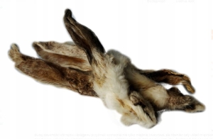 USZY KRÓLICZE Z FUTREM ucho dla psa GRYZAK PRZYSMAK Balto 10szt