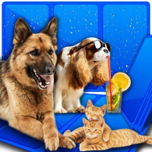 MATA CHŁODZĄCA DLA PSA I KOTA DUŻA LEGOWISKO XXXL 90x50cm