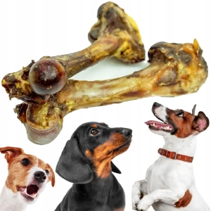 DUŻA KOŚĆ Z DZIKA GRYZAK PRZYSMAK DLA PSA SUSZONY SMAKOŁYK BALTO 1szt