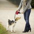 a50e7de8cd0128ec6c337e53dd865f64