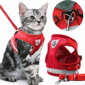 SZELKI BEZUCISKOWE SPACEROWE REGULOWANE ODBLASK DLA KOTA + SMYCZ ROZMIAR XL