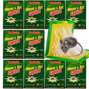 40x MYSZOŁAPKA LEP ŁAPKA PUŁAPKA NA MYSZY SZCZURY Z KLEJEM NA GRYZONIE