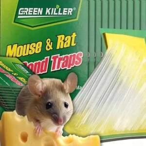 5 x MYSZOŁAPKA LEP ŁAPKA PUŁAPKA NA MYSZY SZCZURY DUŻA Z KLEJEM
