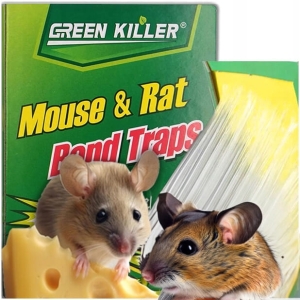 40x PUŁAPKA NA MYSZY SZCZURY MYSZOŁAPKA SILNY KLEJ MOCNA ŁAPKA LEP AROMAT