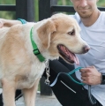 OBROŻA PÓŁZACISKOWA REGULOWANA DLA PSA MARTINGALE Z ŁAŃCUSZKIEM 50-70cm XL